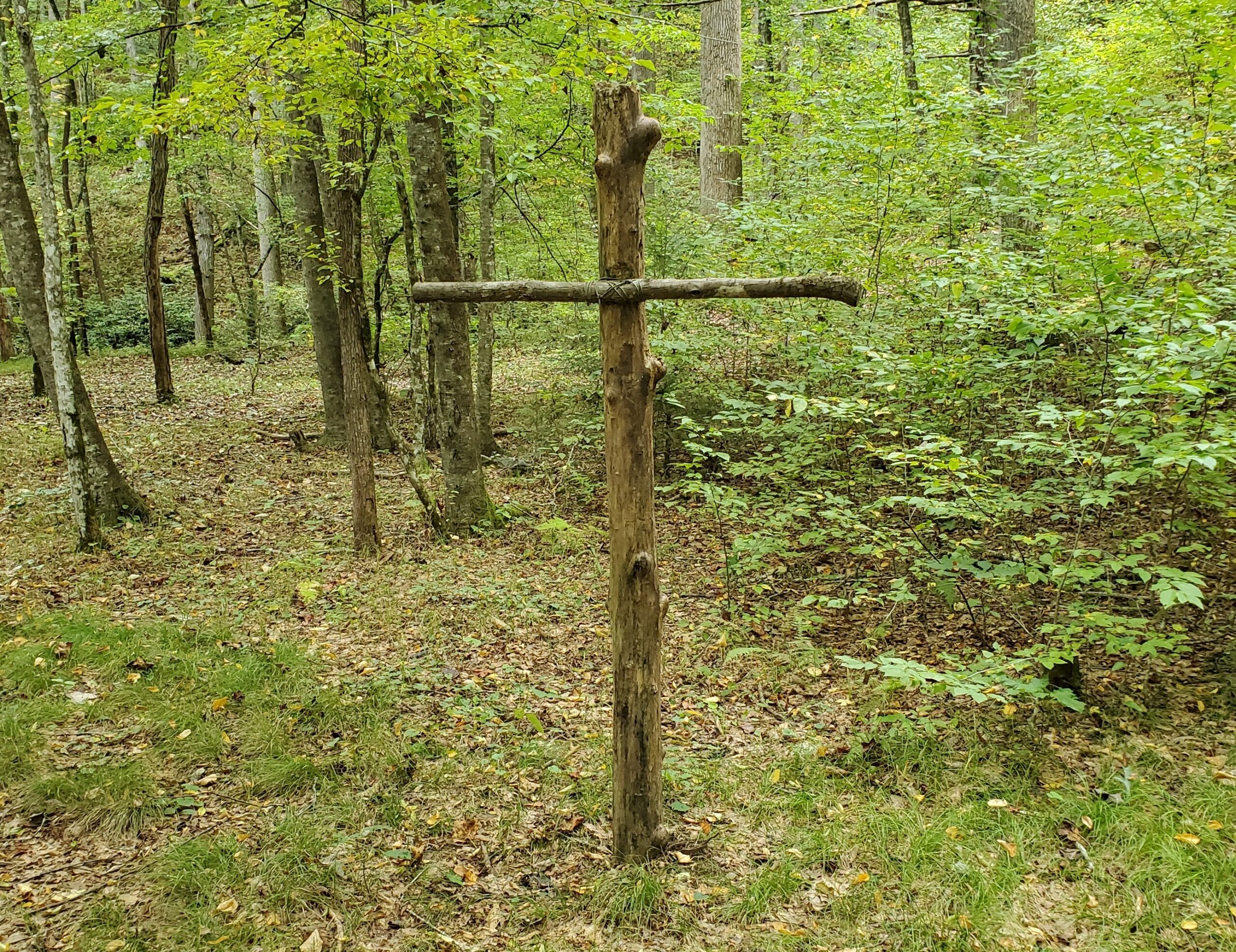 20220924 1521573304625900238254699 large.cropp